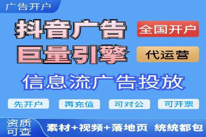 百度品牌专区推广的成效与案例